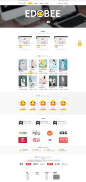 网站设计合集与策划指南 从构思到上线